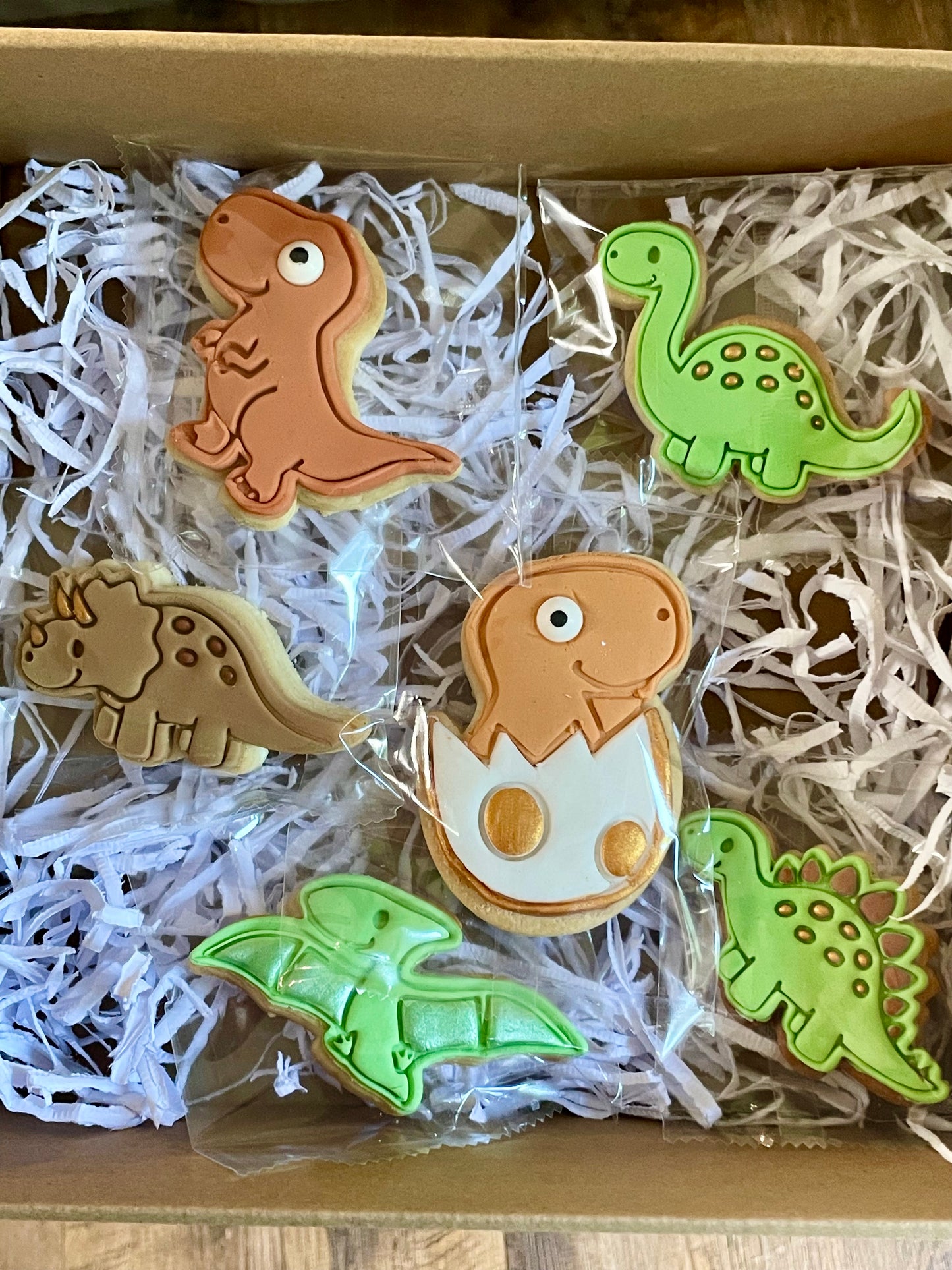 Small Dinosaur Cookie Set (6)