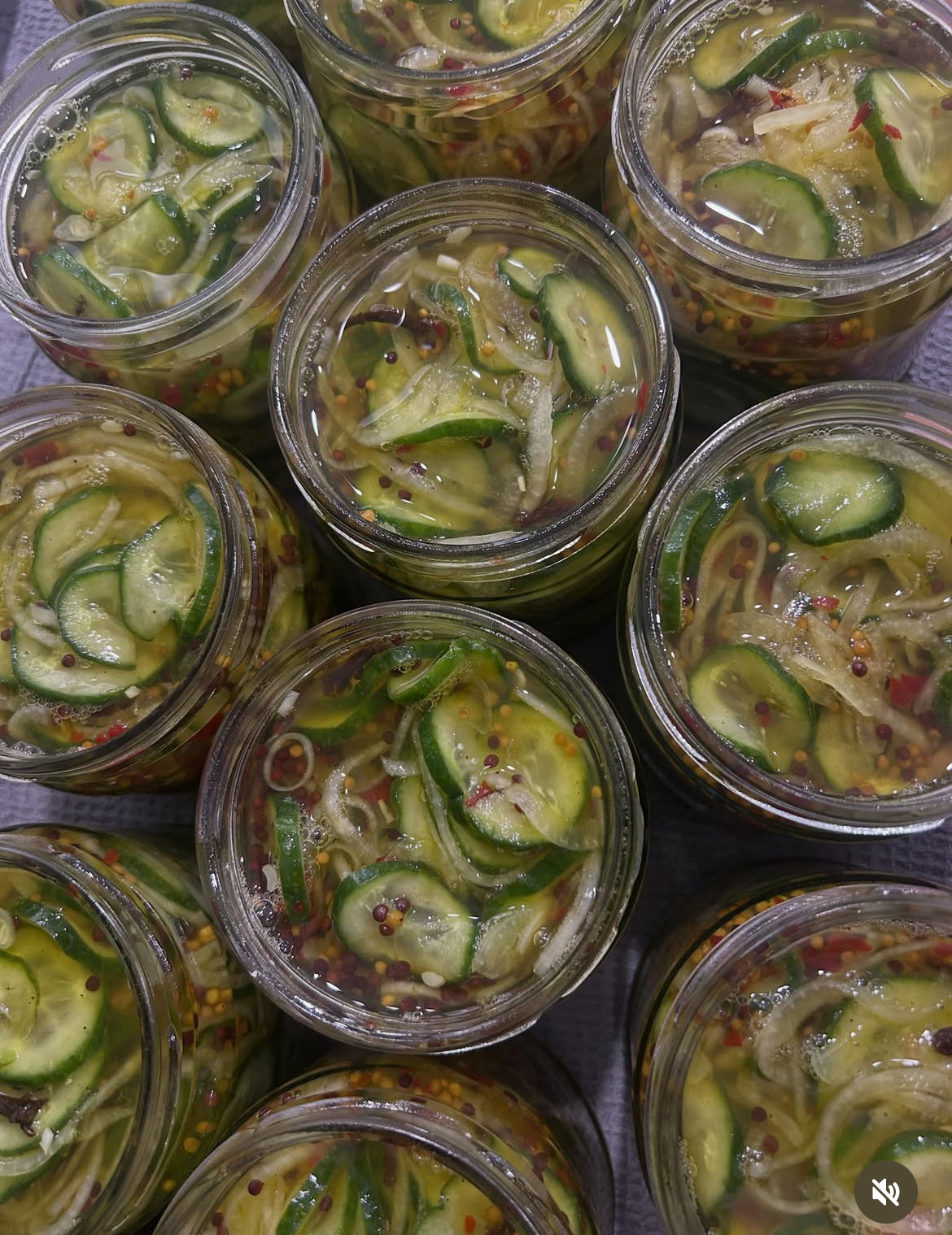 Manda's Marmalade - 200-250g BREAD & BUTTER CUCUMBERS