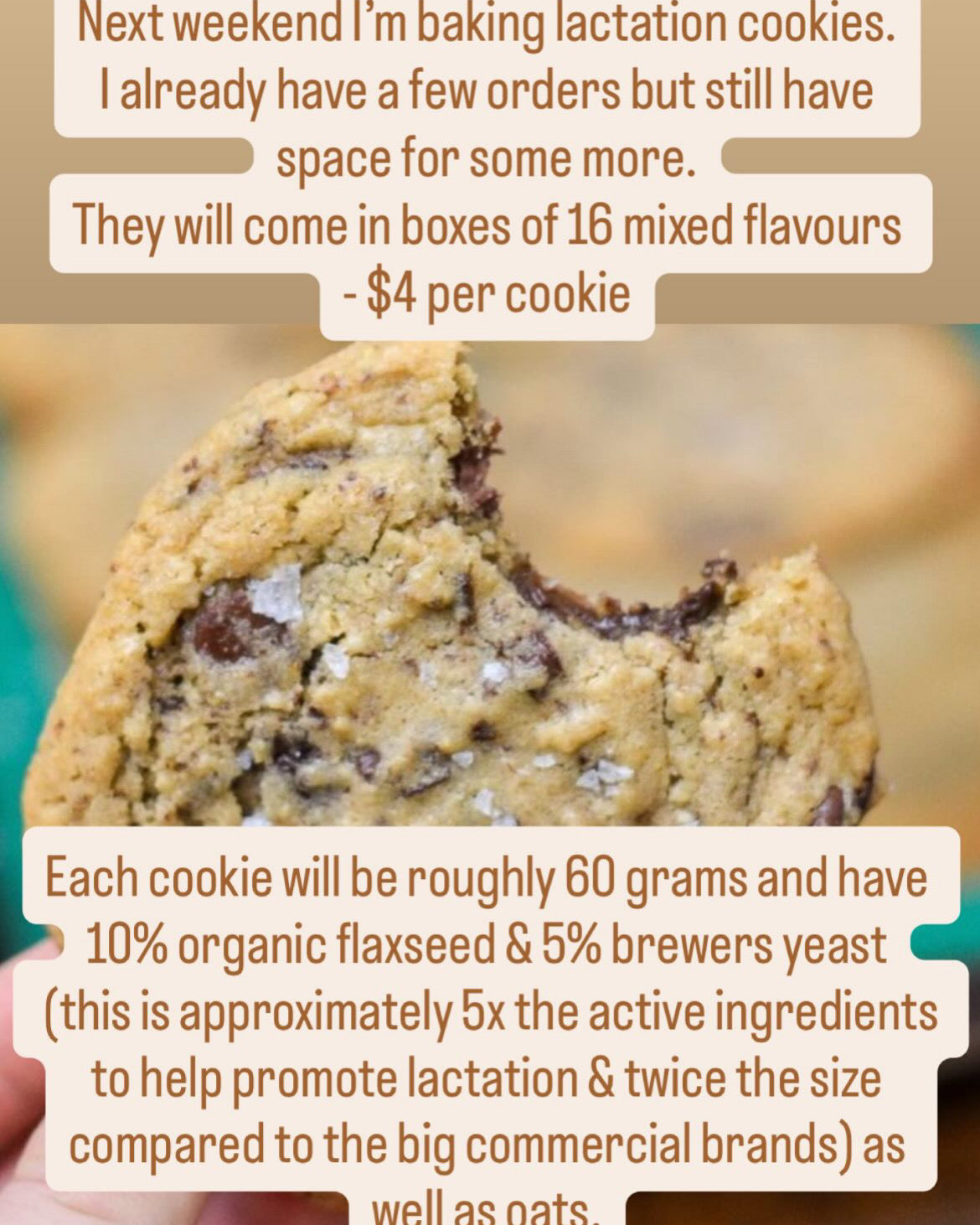 Lactation Cookies - Batch of 16