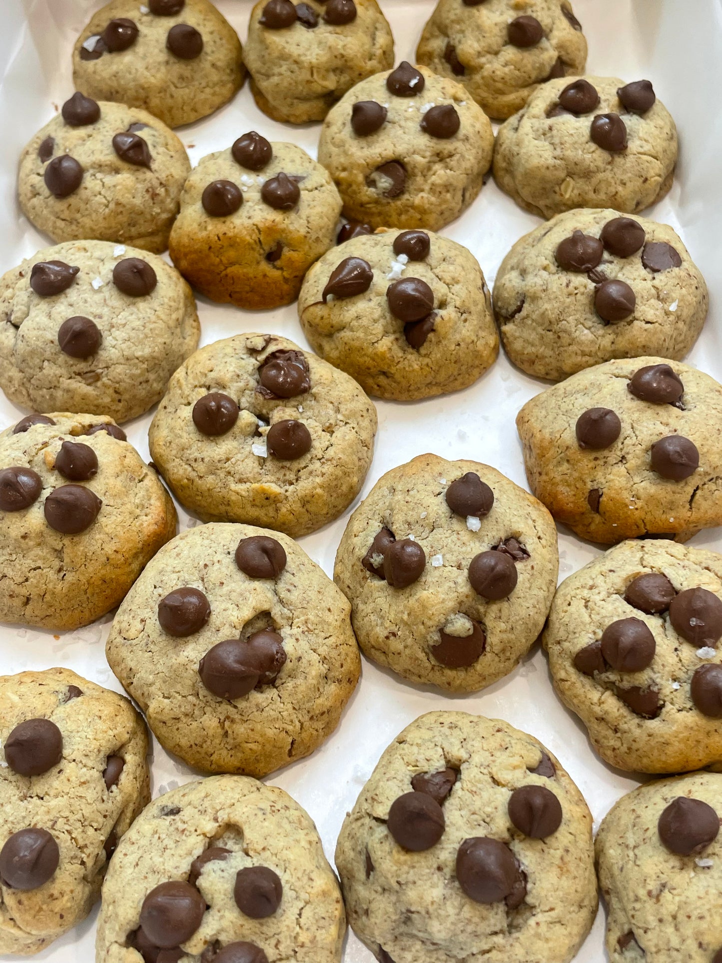 Chocolate Chip Lactation Cookies - Batch of 30